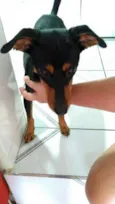 JUJU