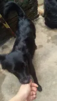 Neguinha