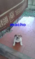 eles não tem nome 
