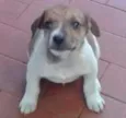 eles não tem nome