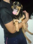 Neguinho