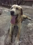 Não Sei