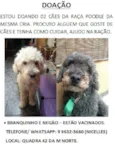 Branquinho e Negão