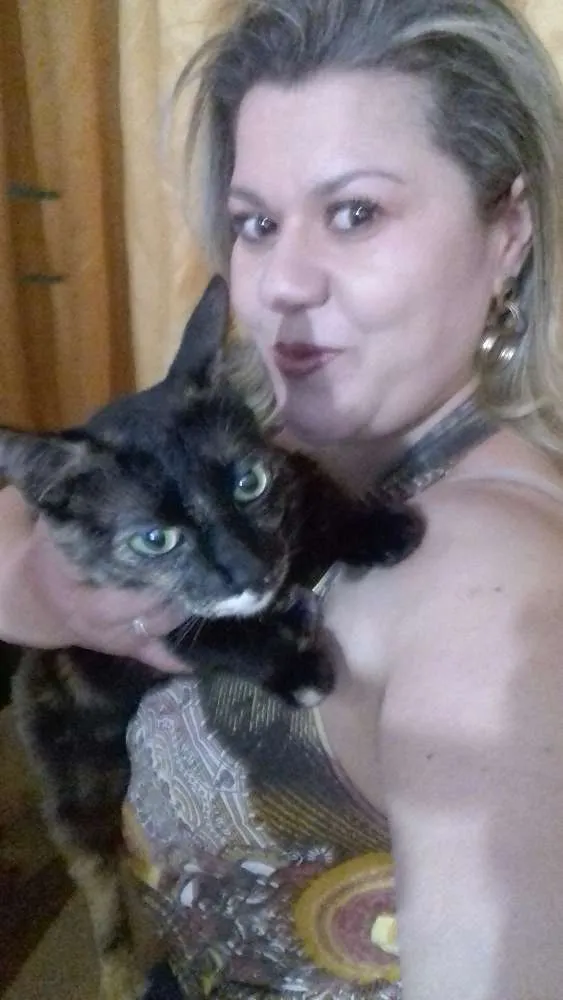 Gato ra a Calicó idade 2 anos nome Peposa GRATIFICA