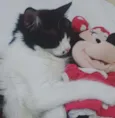Amy