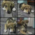 Spike