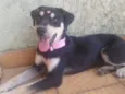 Vitória