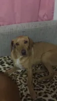 NAO TEM