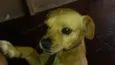 Toby 