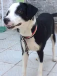 Bruce