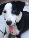 Bruce