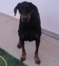 Hulla