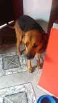 ROMEU