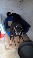 KIKO
