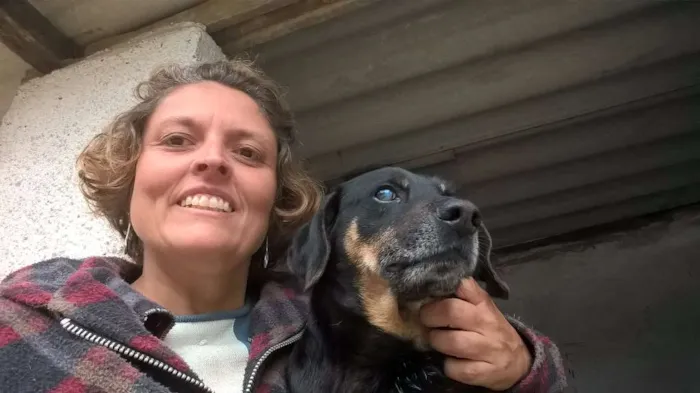 Cachorro ra a SRD idade 4 anos nome KIKO