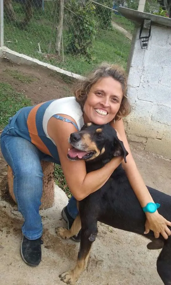 Cachorro raça mix rotweiller idade 5 anos nome bartolomeu