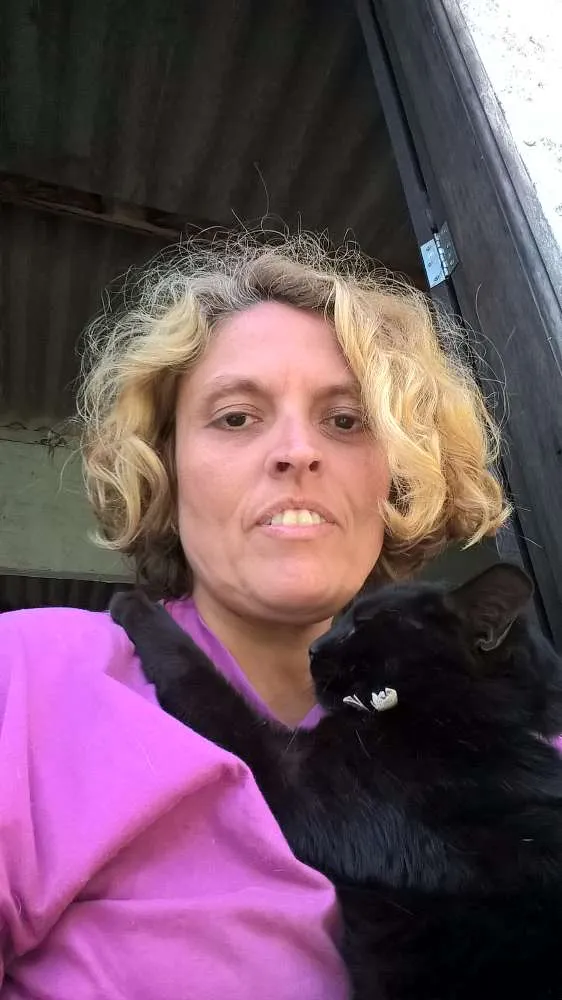 Gato ra a SRD idade 2 anos nome OLGA