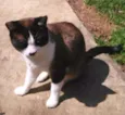 pierre
