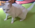 MILKA