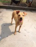 Linda