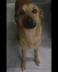 Boby