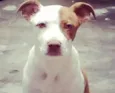 aika