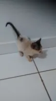 Não possui nome