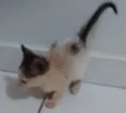 Não possui nome