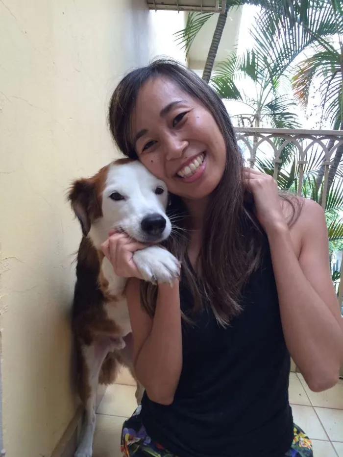 Cachorro ra a SRD idade 6 ou mais anos nome Sushi