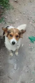Nina 