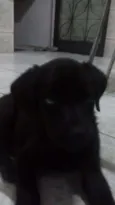 Nina