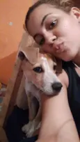 Toby