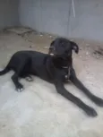 Vitória