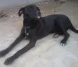Vitória