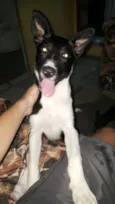 NINA