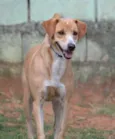 ENZO, Fofura Totalll