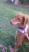 Nina