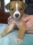 Penny