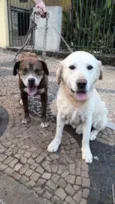 Juba e Lula
