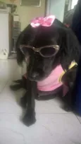 preta