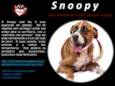 Snoppy