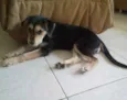 Lola 