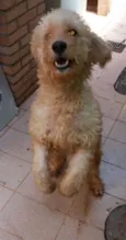 Marley 