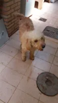 Marley 