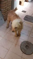 Marley 