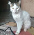 Richard Parker