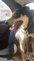 Nina
