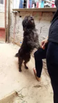 De rua