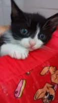 Fred