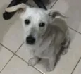 porte p, 8 meses